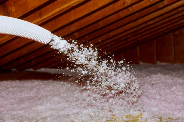 Best Home Insulation Services  in West Wyomissing, PA