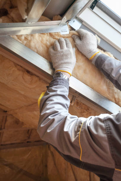 Best Professional Insulation Contractor  in West Wyomissing, PA
