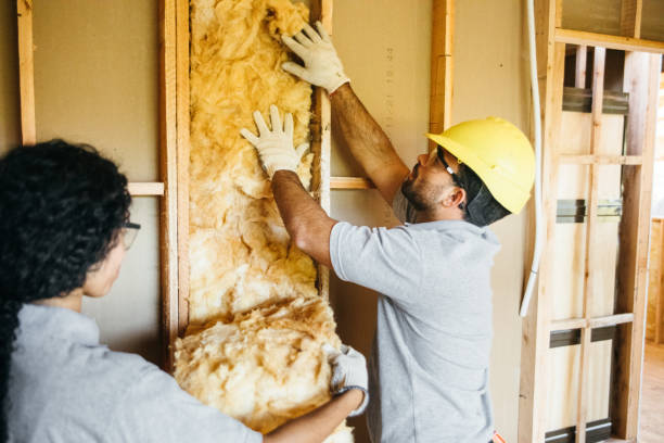 Best Insulation for New Construction  in West Wyomissing, PA