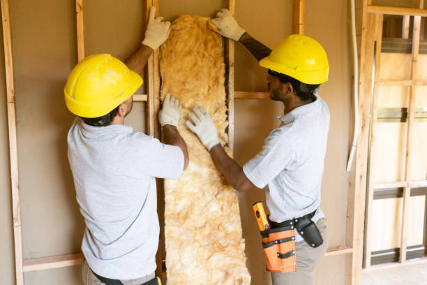 Best Cellulose Insulation  in West Wyomissing, PA